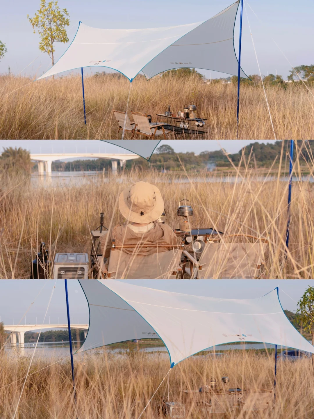 在金色毛毛草中露营好看是好看就是有点费鞋