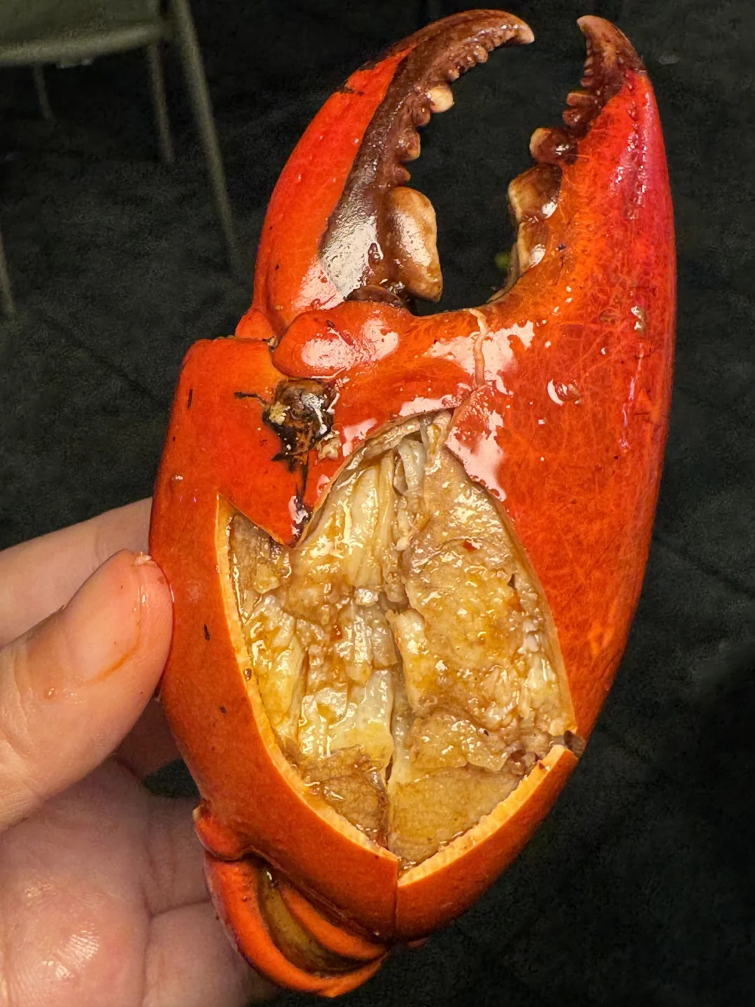 （深圳）真的好爱这种有意思的小店…