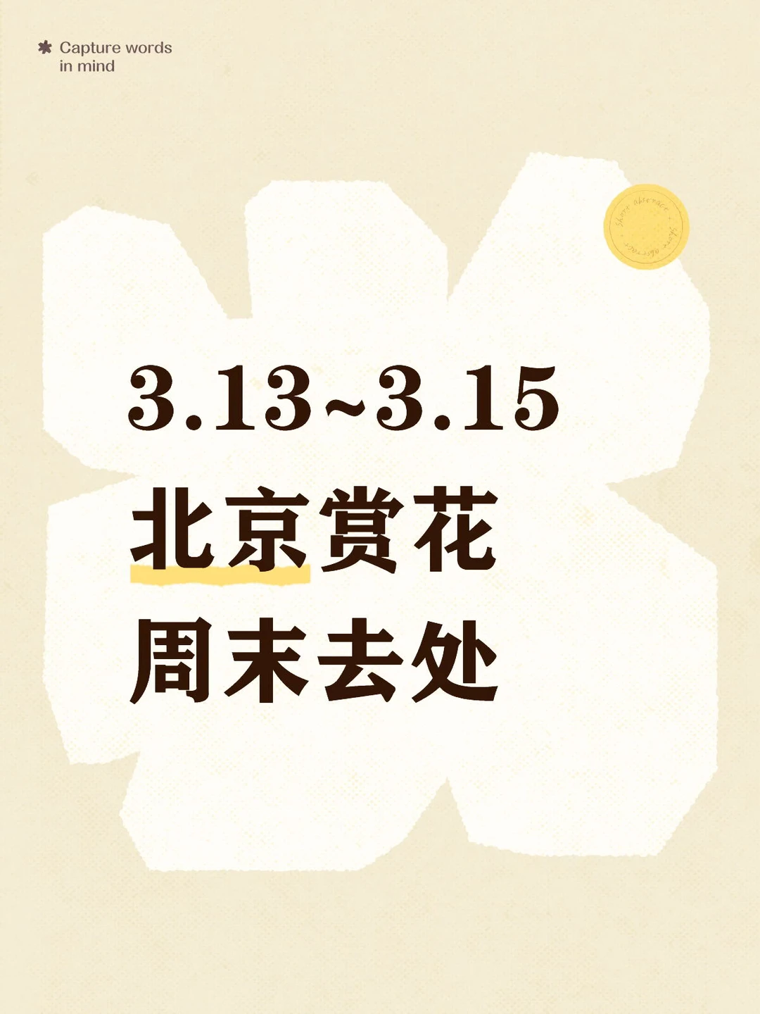 3.13~3.15去处，北京赏花最新实况汇总