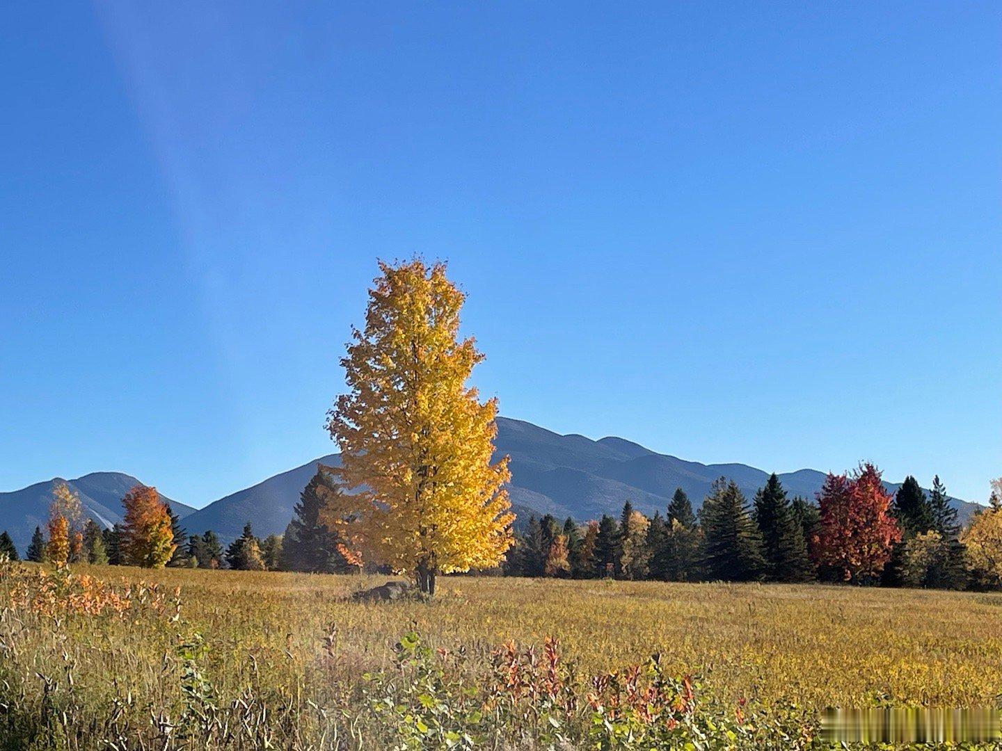 2026年10月3日，继续在Adirondack 公园赏秋：1。Buttermilk瀑布，2，3。Tupper湖，4。Whiteface山眺望宁静湖（Lake Placid），5。Mt. Jo俯瞰心湖（Heart Lake），6。Whiteface山眺望其它的高山。7。去Mt Jo路上的风景，8。Whiteface山的山顶登山小径，9。路过的小湖Union Falls Pond ​