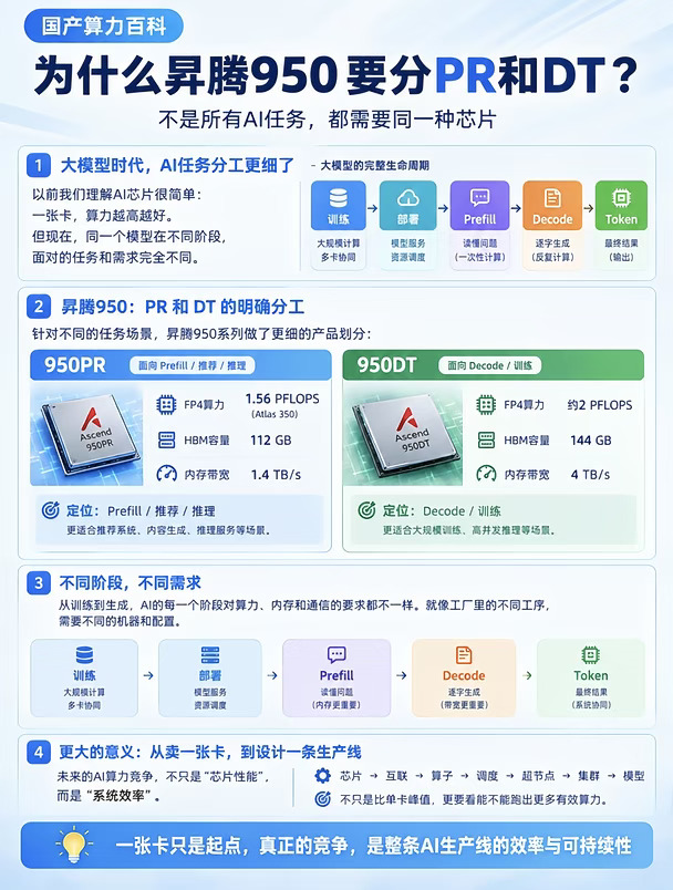 为什么昇腾950要分PR和DT？