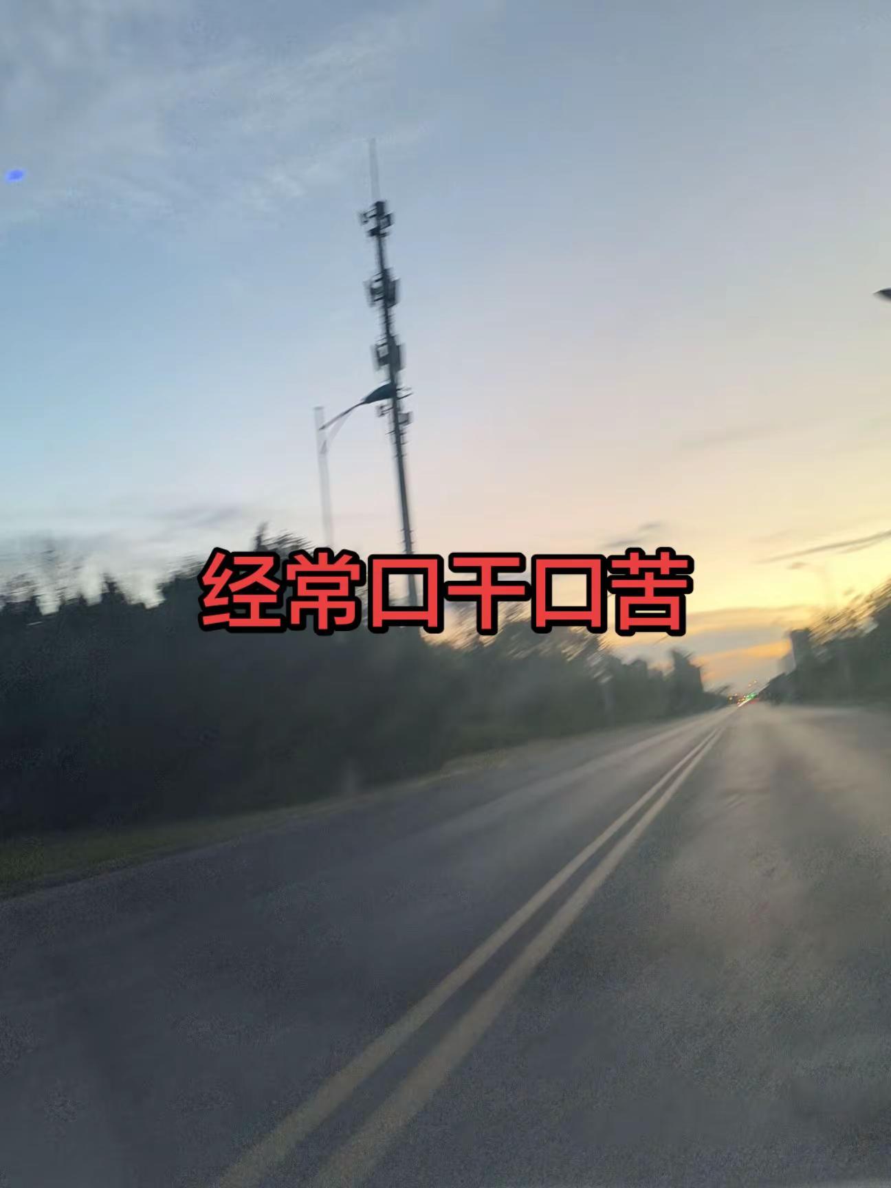 第二届
