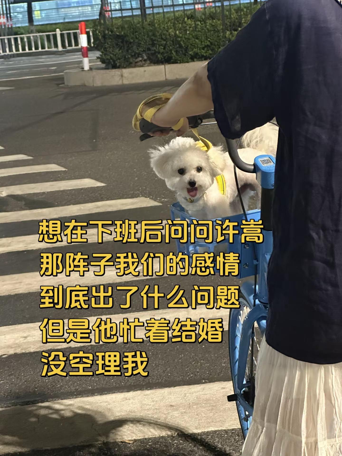 许嵩