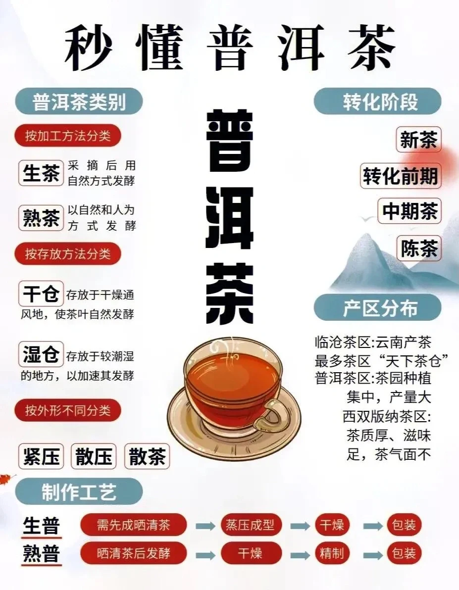 关于普洱茶的超全知识整理，建议收藏！