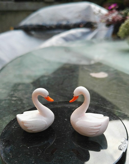 单身老人能不能搭伙过日子