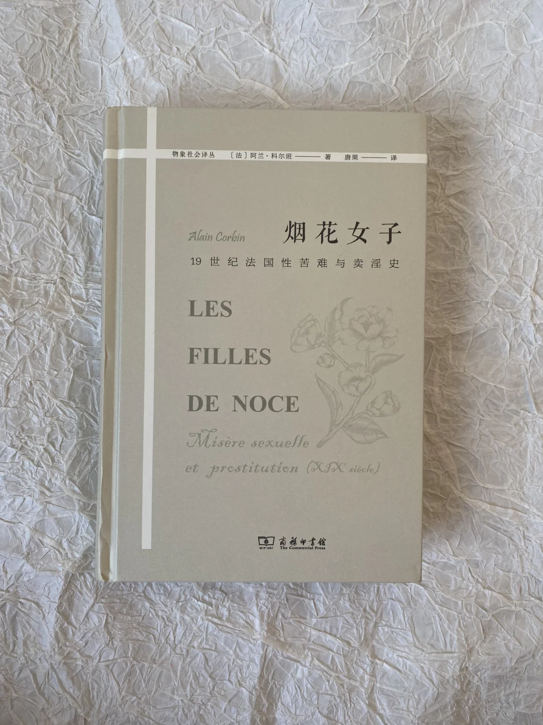 冷门佳作推荐 | 19世纪的性 苦难与卖 淫史