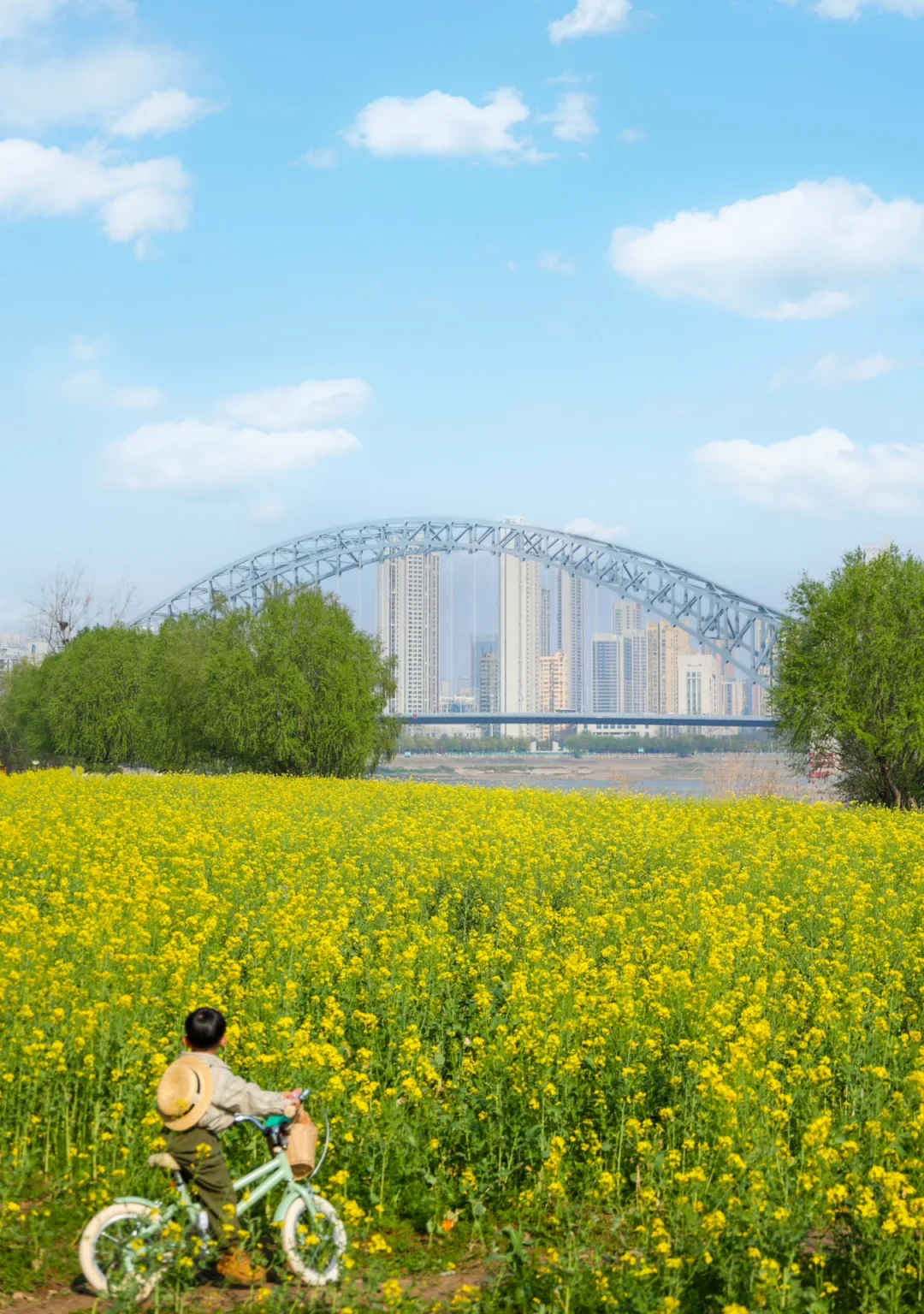 武汉绝美小众骑行地🌼途经花海和免费游乐场