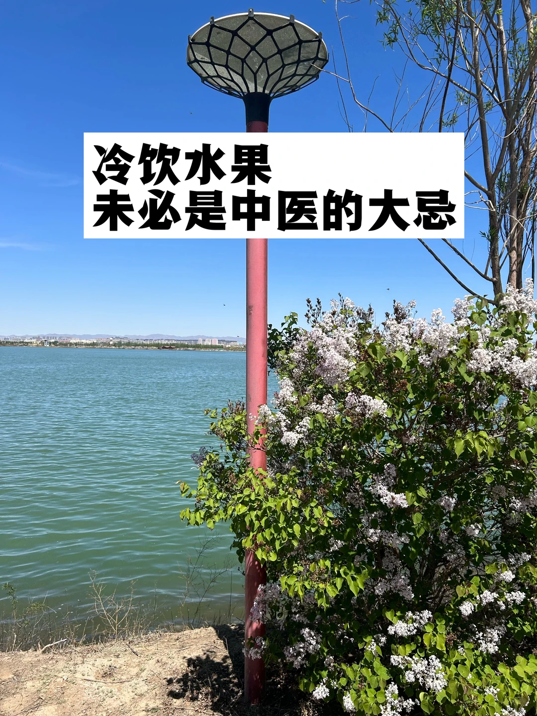 冷饮水果，未必是中医的大忌！