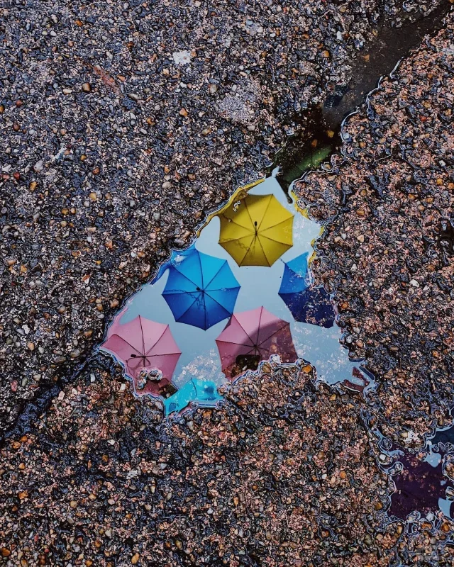 【每日分享】彩虹之路