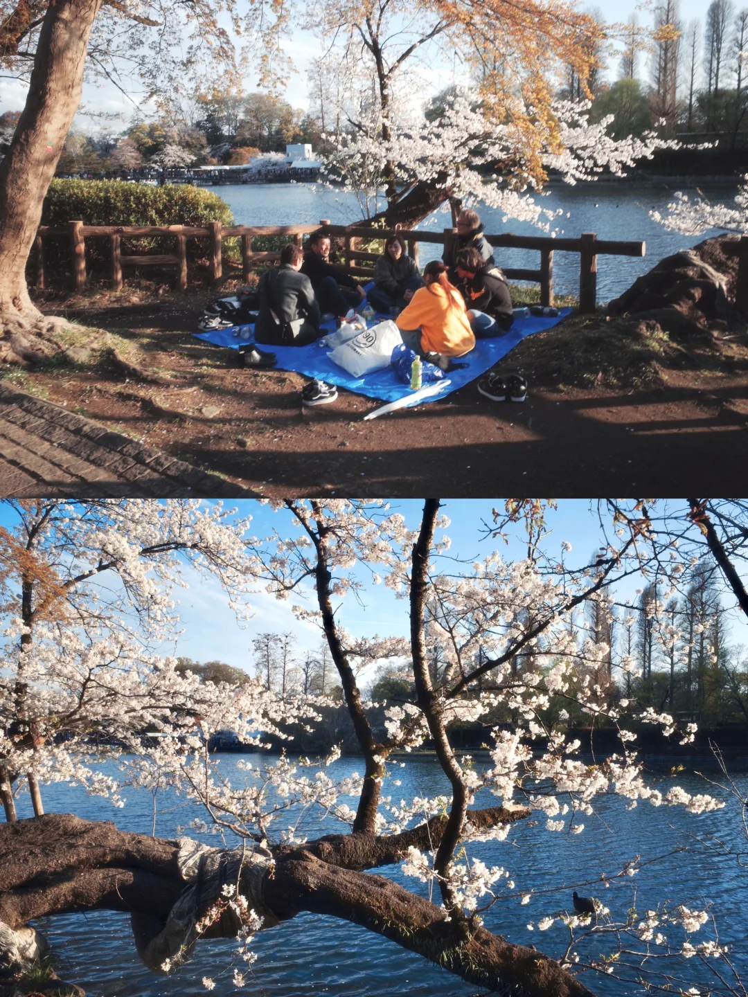 28mm视角下的春天