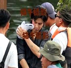 韩东君出事了，拍《铁证》蹦极戏，胳膊直接脱臼。

看路透，他疼得脸都变了形，隔着屏幕都觉得钻心。刘宇宁和孙红雷也在场，估计都吓了一跳。

为了一个镜头，演员也是真豁得出去。这种高危动作，但凡保护措施差一点，后果不堪设想。剧组为了追求真实感，有时候确实在走钢丝。

这钱挣的，真不是光鲜亮丽那么简单，全