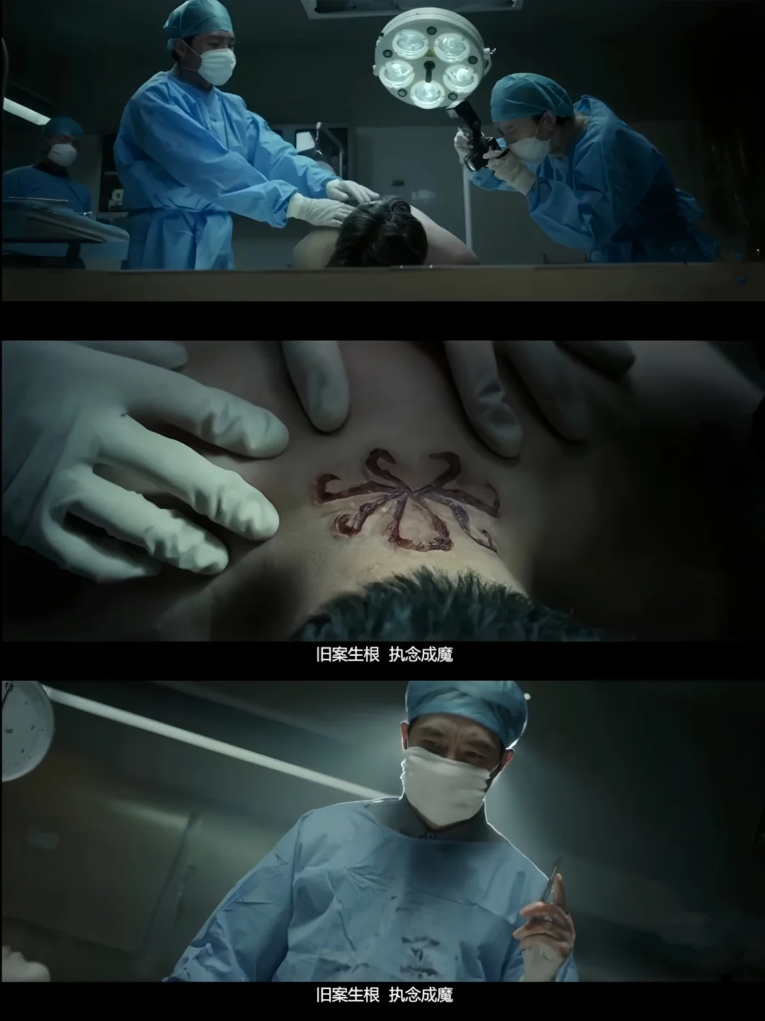 终于要播❗刑侦悬疑❗10宗鲨人案❗法医推理