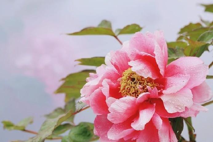 退休后，夫妻间的小摩擦本该是调味剂，谁知不少人却直接把日子搅成一锅粥。...