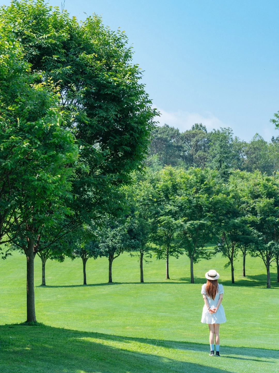 🌿小众目的地 | 贵州大草原，我可来10000次