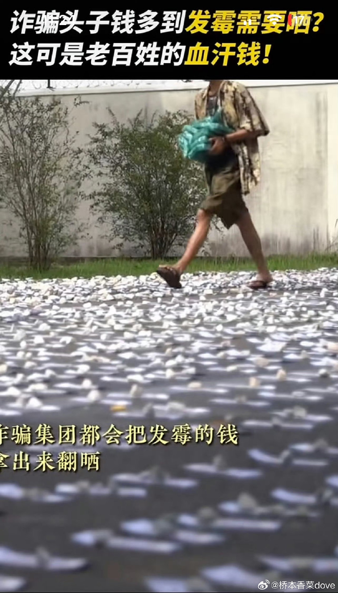 #缅北电诈头目的钱多到发霉#每一张钞票都是被诈骗人员的血汗钱啊 ​