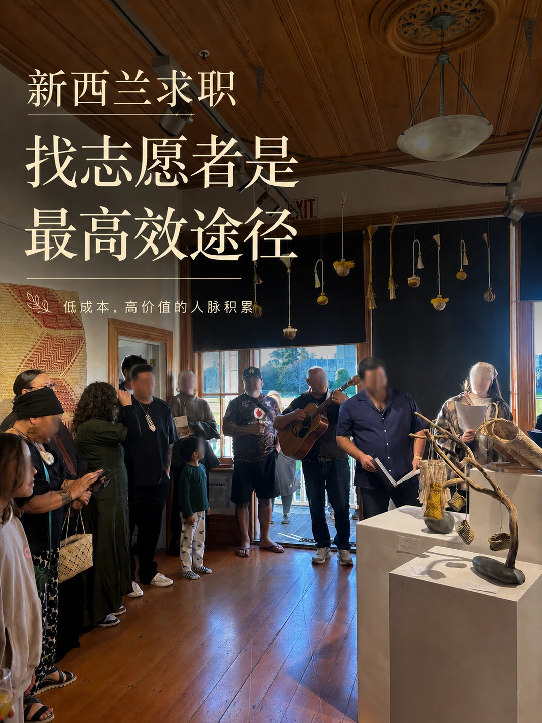 攻略|如何在新西兰当志愿者
