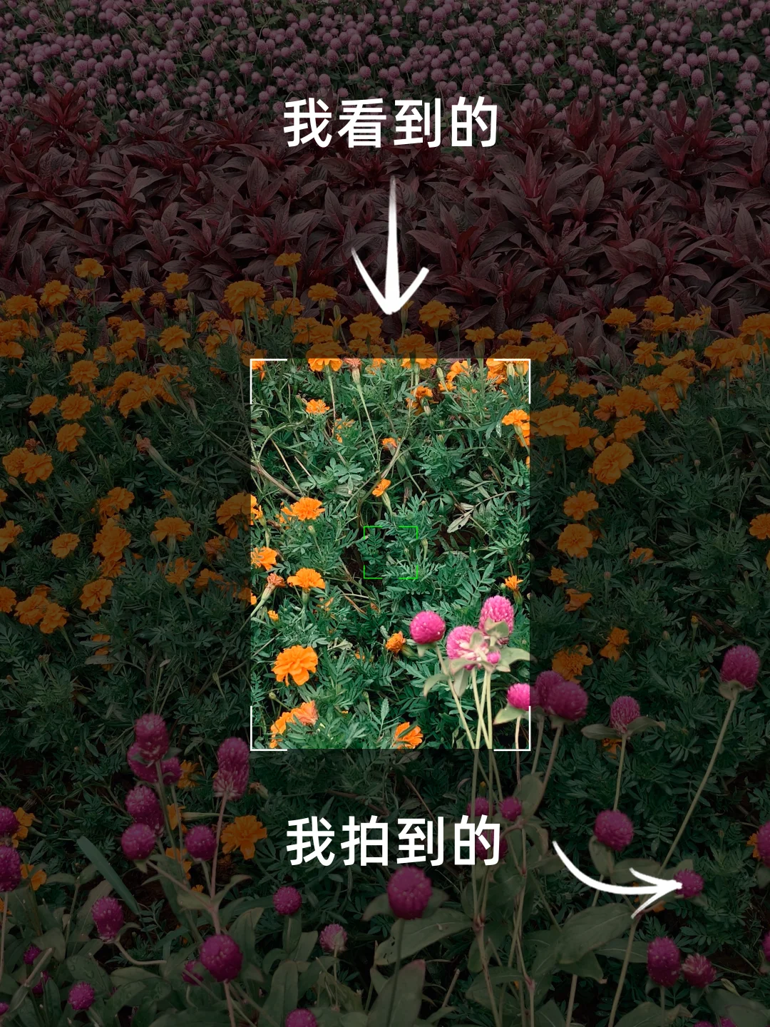 我看到的VS我拍到的|培养摄影眼06