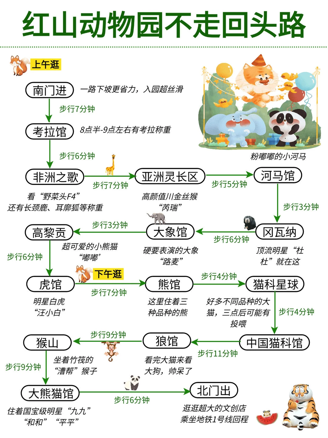 红山动物园一日游路线‼️不费脚攻略