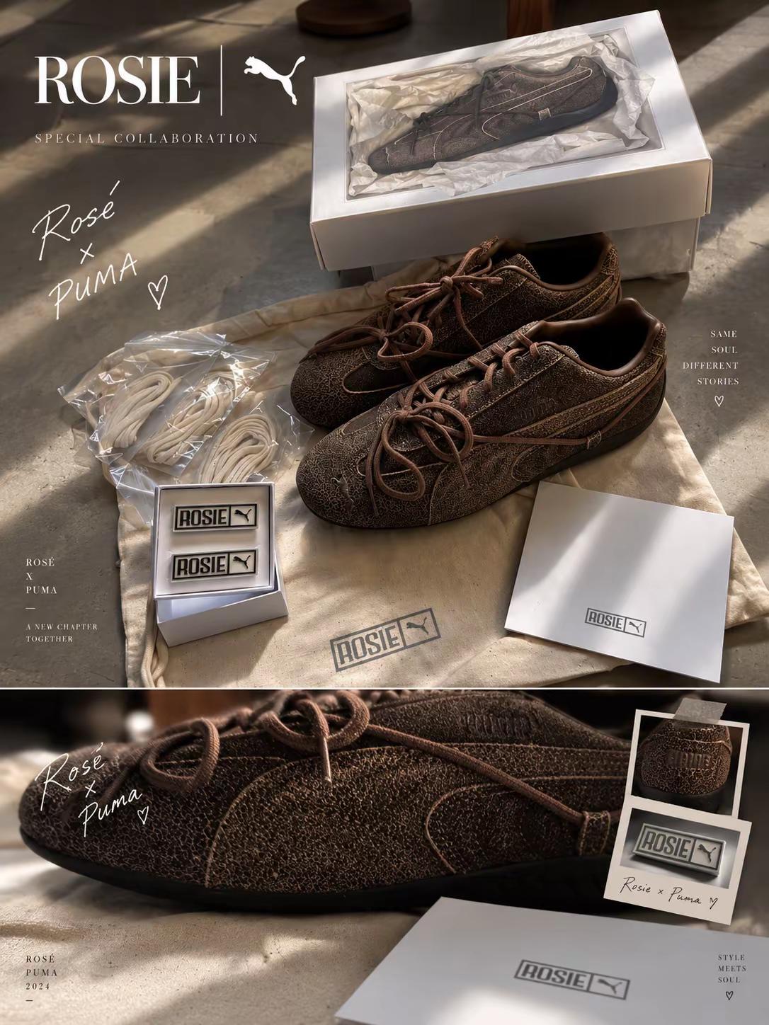 朴彩英 puma