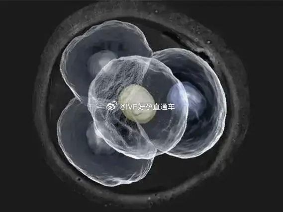 冷冻胚胎移植，内膜准备方案怎么选？

取卵后没法当月移植，胚胎冻起来，等下次再移。但冷冻移植前，内膜怎么准备？四种方案，适合不同的人：

① 自然周期：适合月经规律、能自己排卵的姐妹。不用药，靠B超监测排卵，最接近自然状态，但得频繁跑医院。

② 激素替代周期（人工周期）：适合排卵障碍、 ​