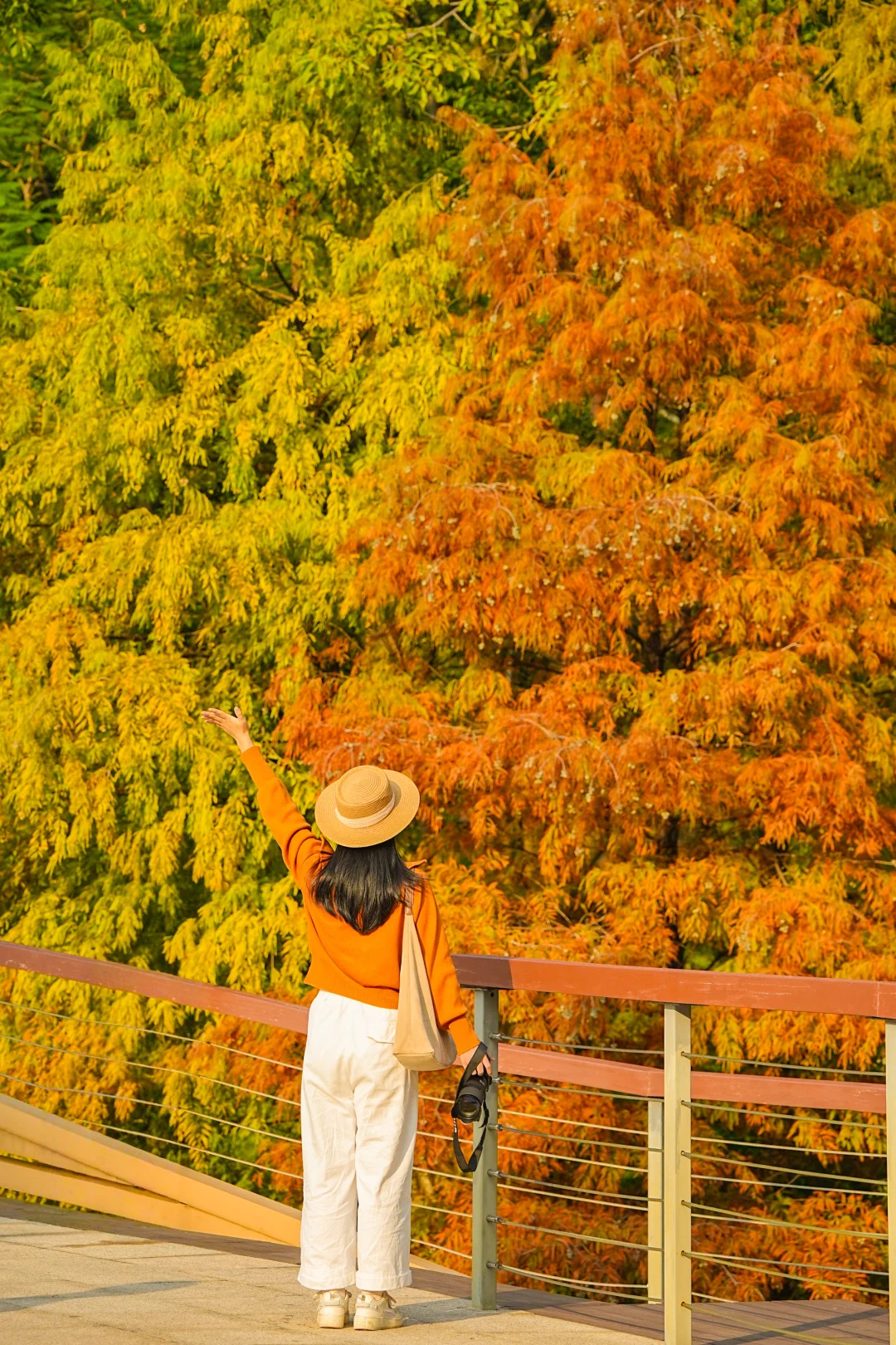 今日实拍📸广州的秋日焦糖色上线啦！美疯