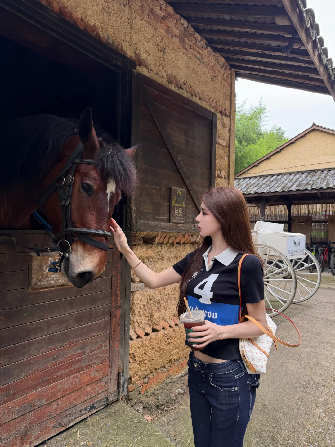 马场日记🐎