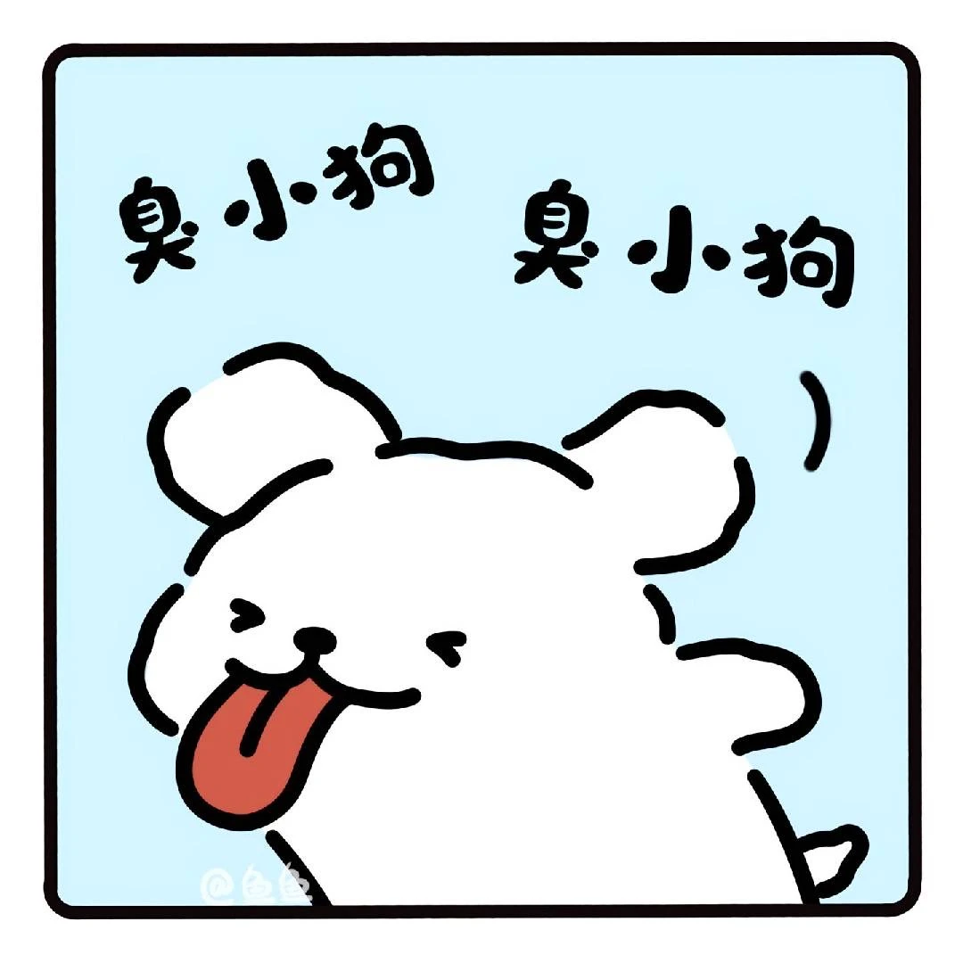 小鸡毛是只臭小狗！