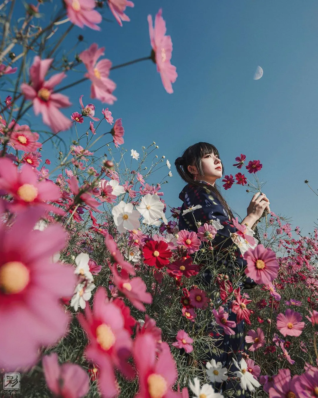 【摄影审美提升】-彩智子摄影作品解析