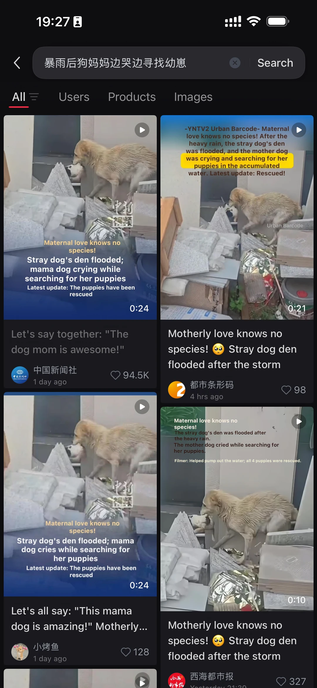 请问这个狗妈妈和小狗们被救助了吗