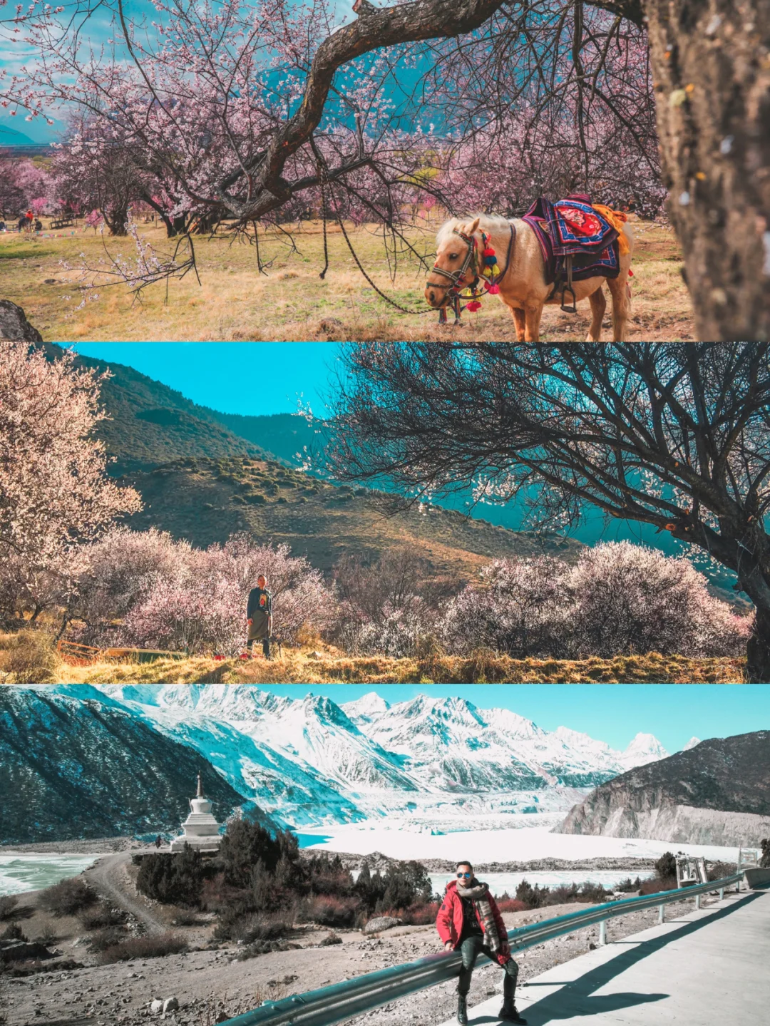 好拍照、景色美的林芝桃花在这里｜西藏旅行