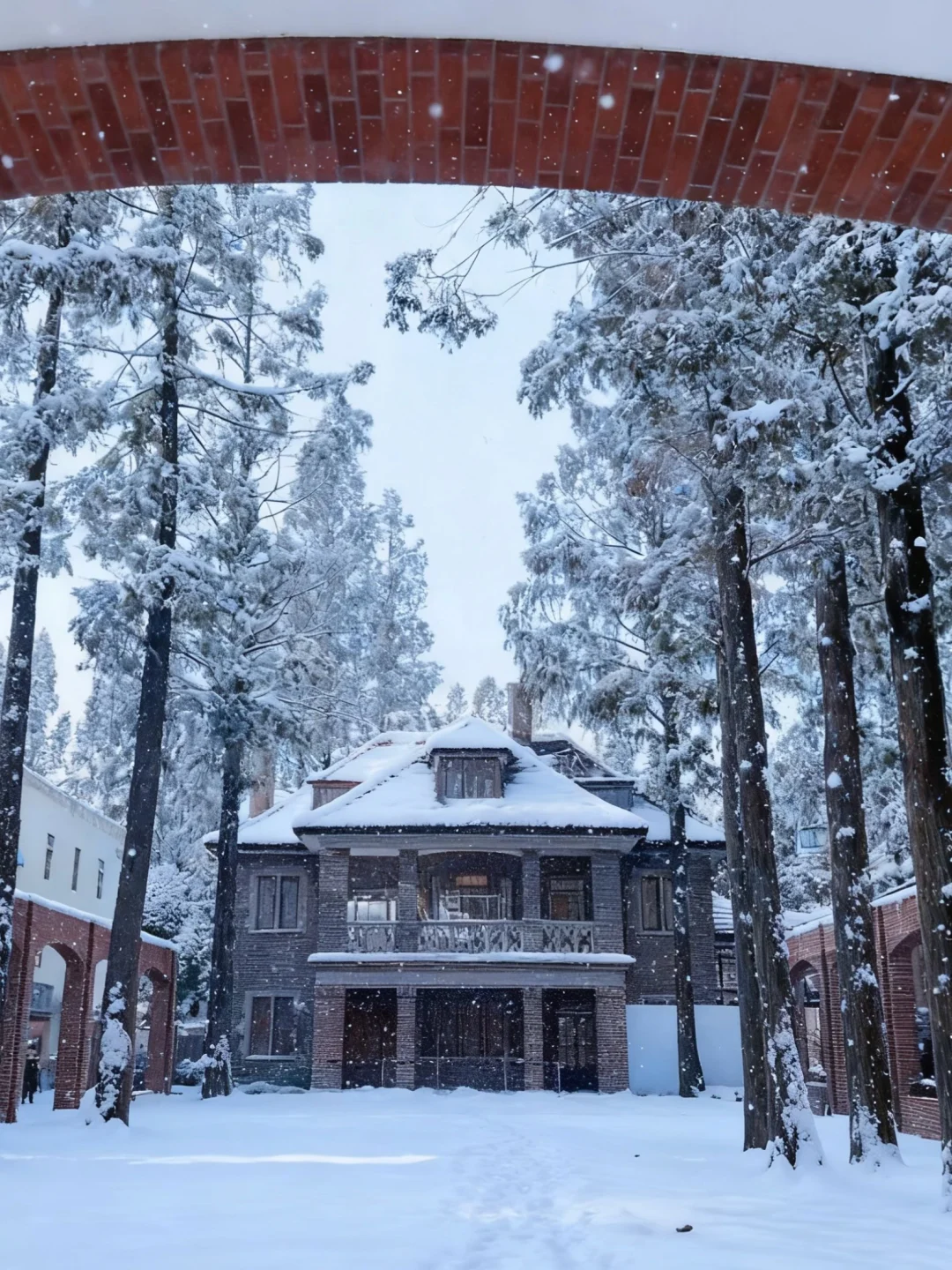下雪的上海成就了“魔都”史诗级浪漫 ❄️
