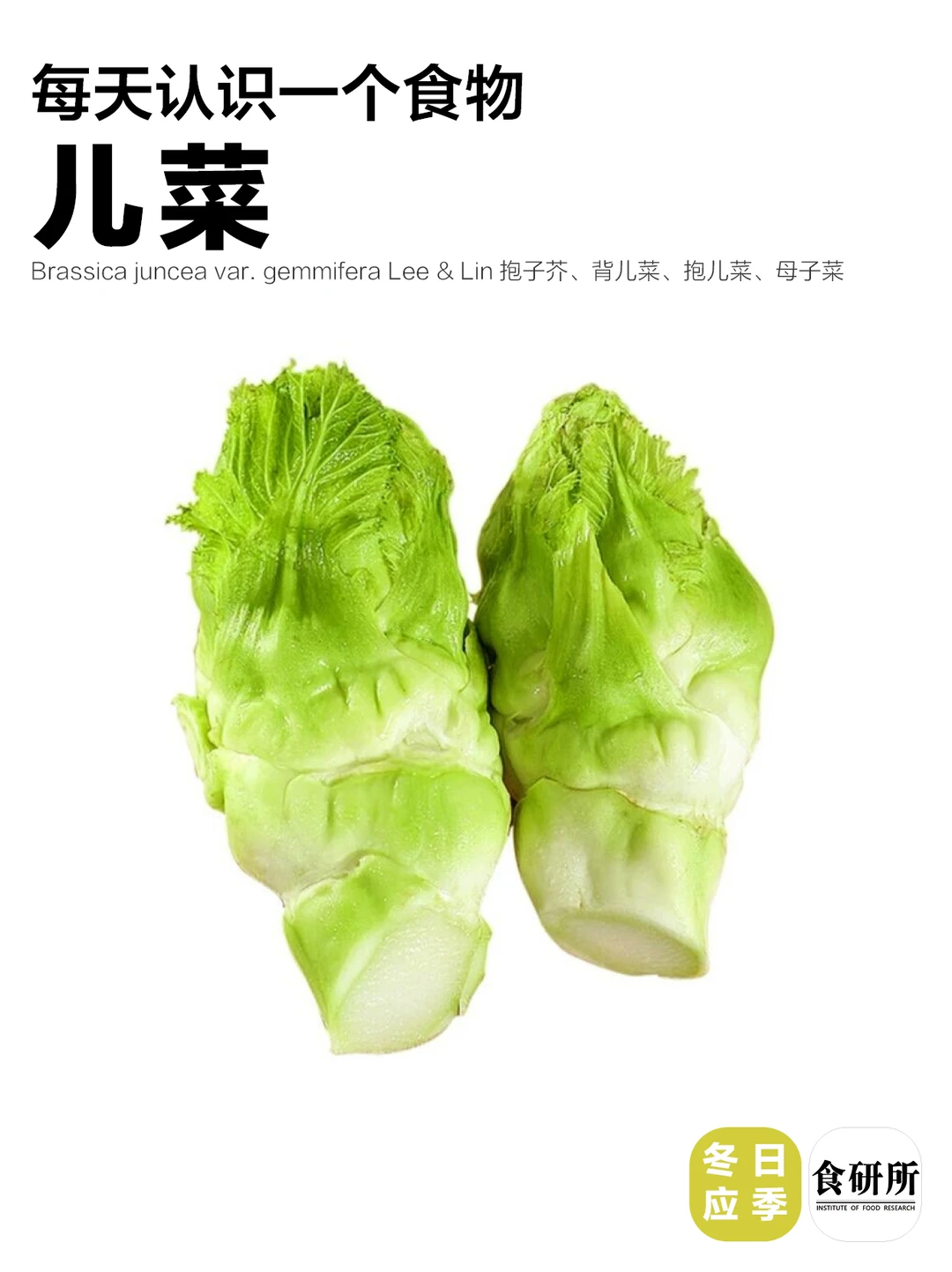 儿菜炒腊肠，带我上天堂