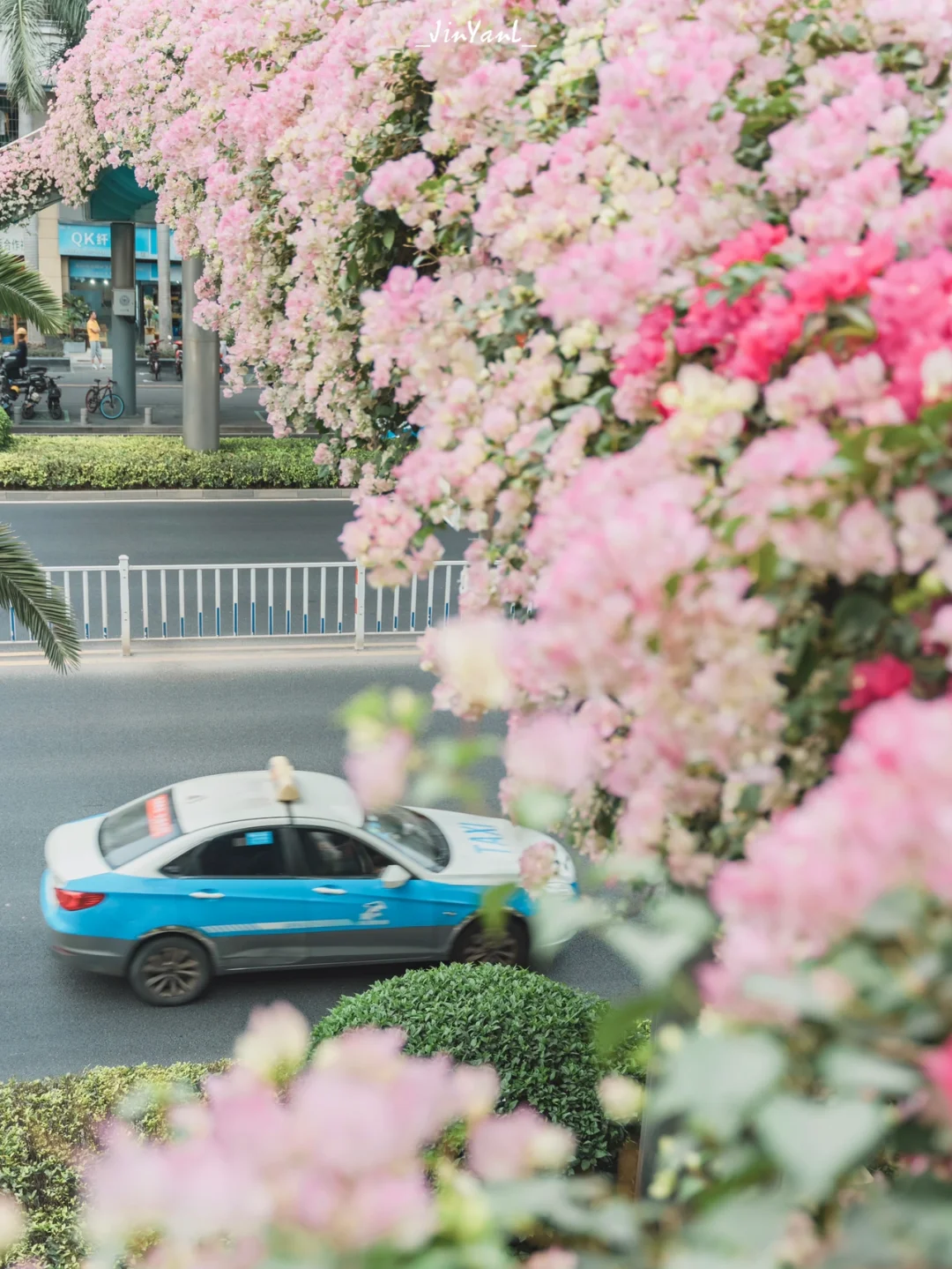 秋天落到了粉色调色盘🎨里｜厦门限定浪漫‼️