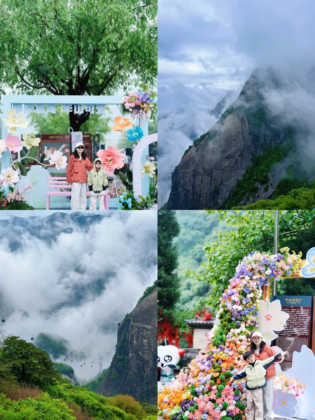 五一带娃华山“无痛爬山”竟遇云海和国风季！