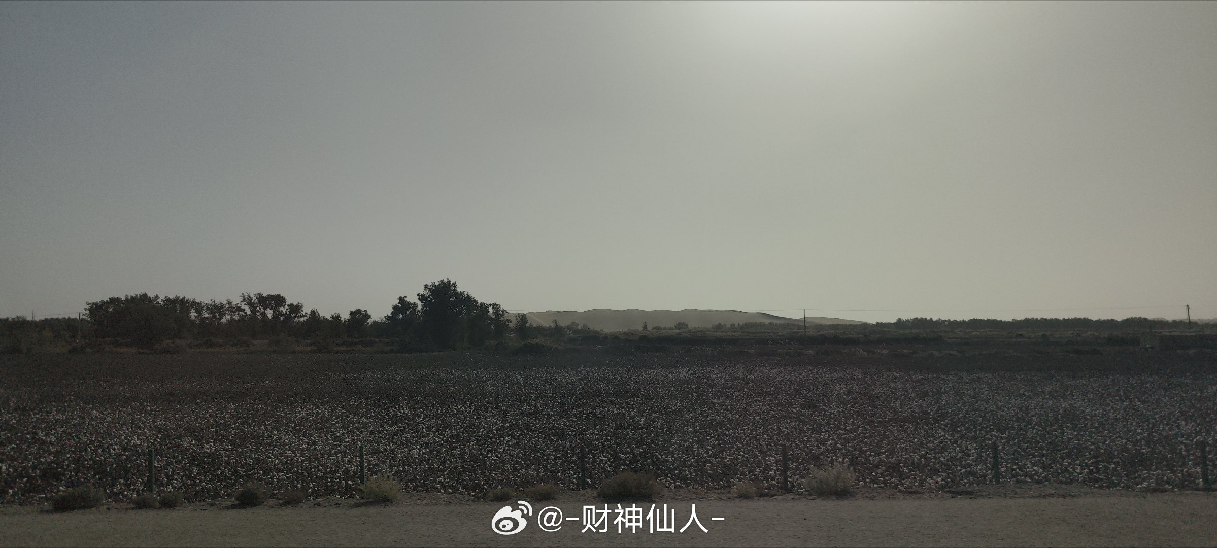 最远处塔克拉玛干沙漠，近一点是大片棉花种植田，正在收棉，大卷大卷的棉花。面前是高速公路，背后是水库，大片湿地公园，百度的卫星图跟不上绿化的速度了。这是沙漠高速公路。昨天今天走过的三条沙漠公路，感叹塔里木河的治理，很难想象其实我在沙漠里  ​