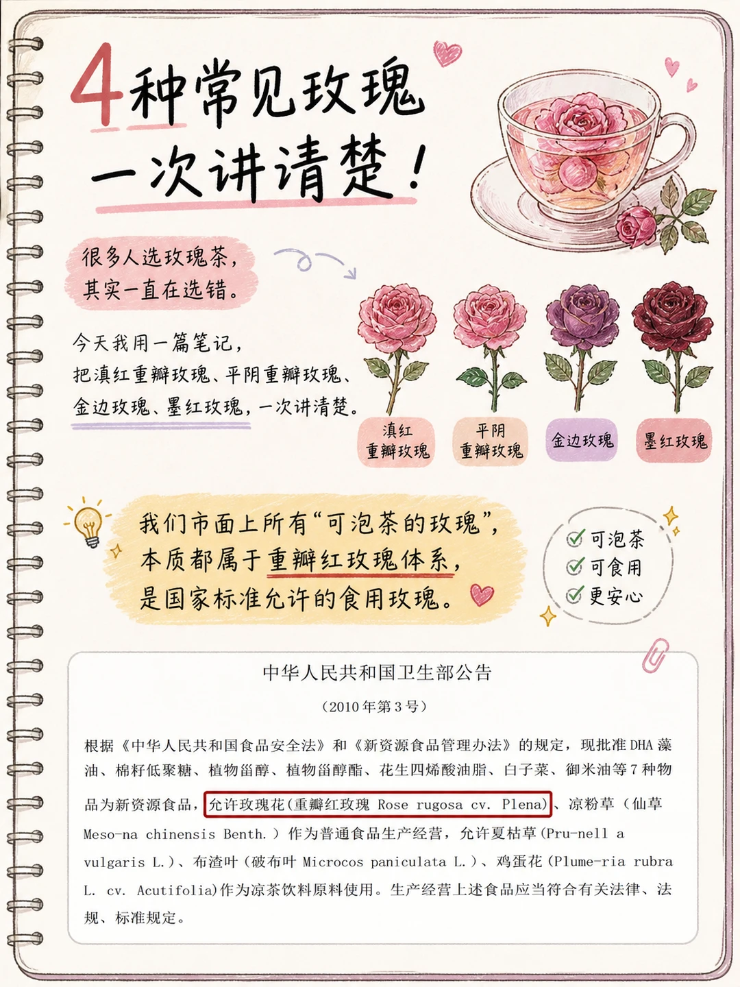 4大玫瑰 一篇看懂重瓣、金边、墨红、平阴