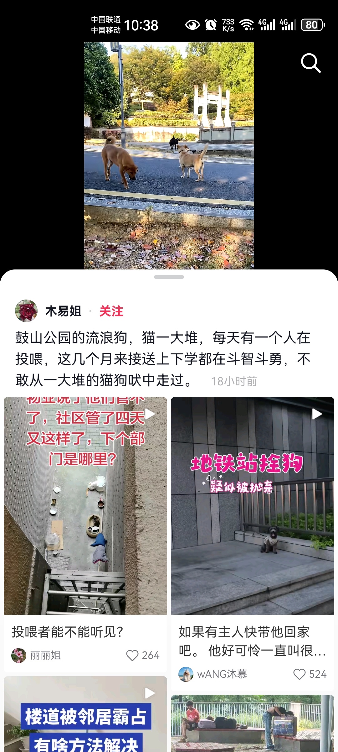 喂养流浪狗的人自以为是自己是有爱心的。其实是社会公害，，你真有爱心就带回去养，按照法规好好上牌栓绳打疫苗。而不是投喂流浪狗猫，流浪猫狗加起来上亿只了。对生态与人民大众出行造成了很大危害，其繁殖速度很快。已经接近失控，这些虚伪的动保玩意功不可没， #呼吁全国严打不规范养狗流浪狗#  ​
