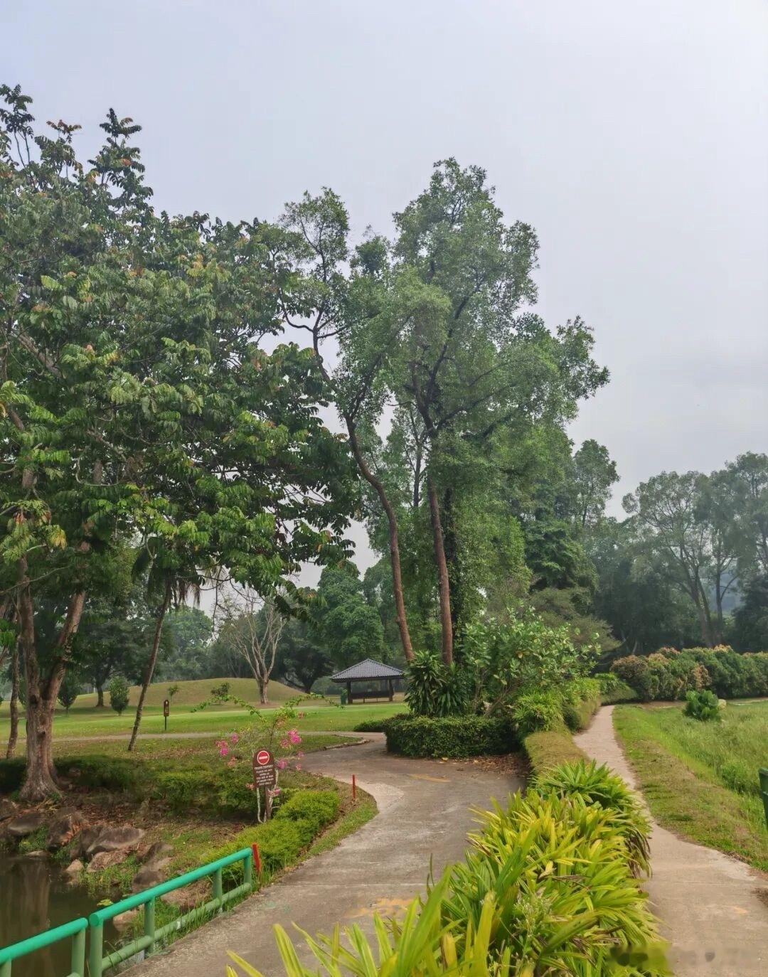 新加坡今天的空气质量转差。其中，中部地区的24小时空气污染指数和一小时PM2.5浓度从早上起明显上升。截至下午4点，全岛五个地区24小时空气污染指数介于87到115点，处于中等到不健康水平。其中，中部、西部和东部的指数都超过100点，中部最高，为115点。一小时PM2.5浓度介于每立方米64到121微克，属于偏高水平。新加坡新加坡达哥 新加坡·Beauty World Centre