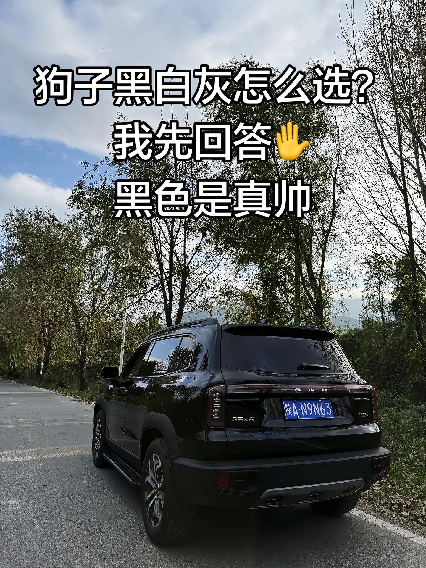 狗子黑色帅是真帅 不耐脏是真不耐脏🥹