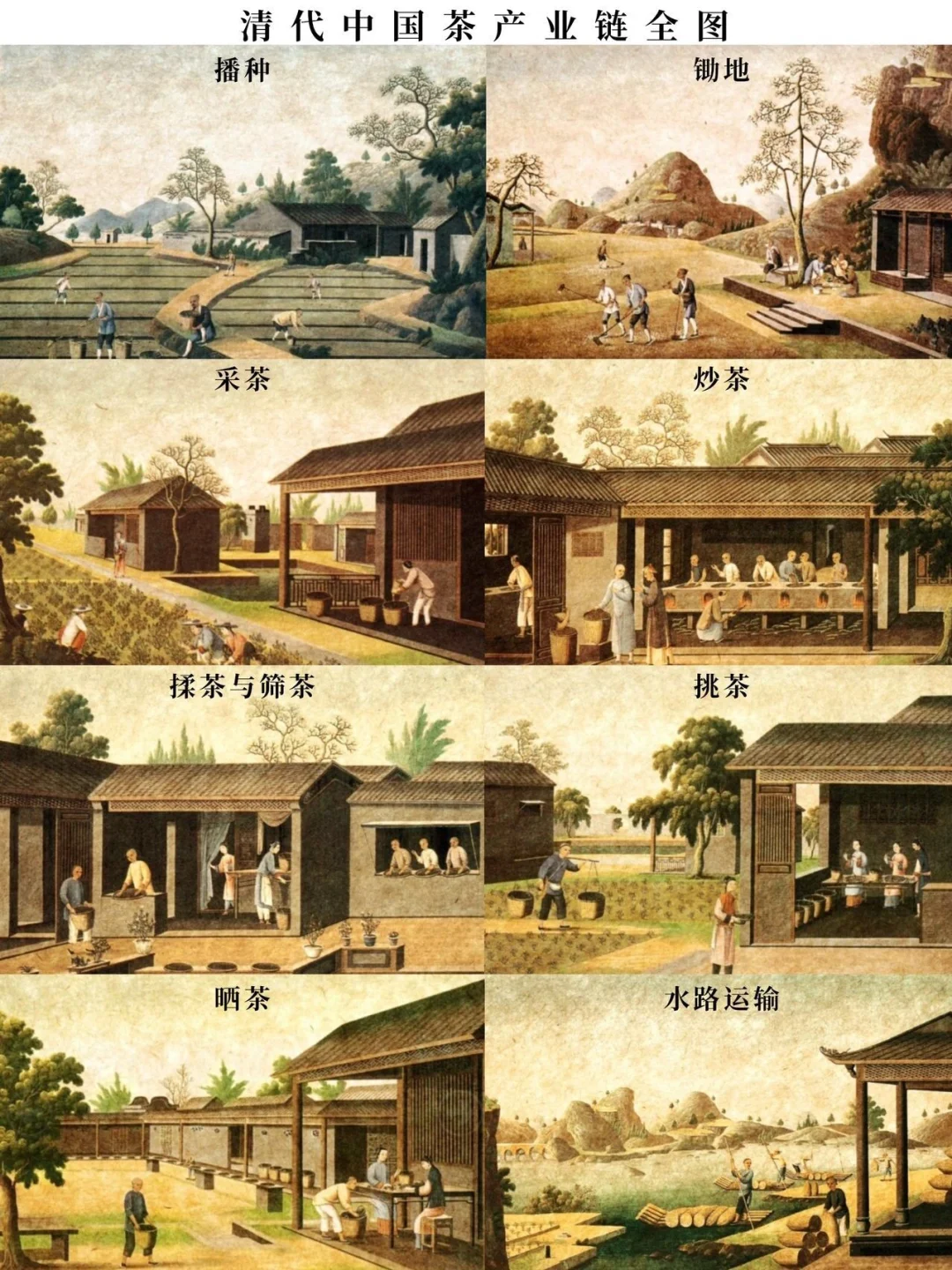 关于中国茶文化，古人到底有多讲究？