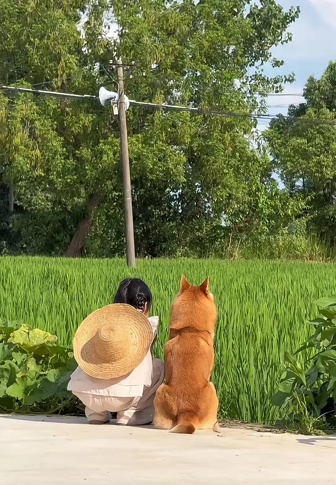 婚姻里有一个挺残酷的现象，你越看不上自己的伴侣，越要小心
	
你可能已经把婚姻里