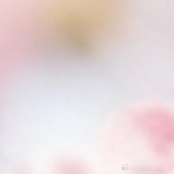 每日一善🔥 “哪怕有犯错，那又怎么样，这个世界上可以犯错的地方真的太...