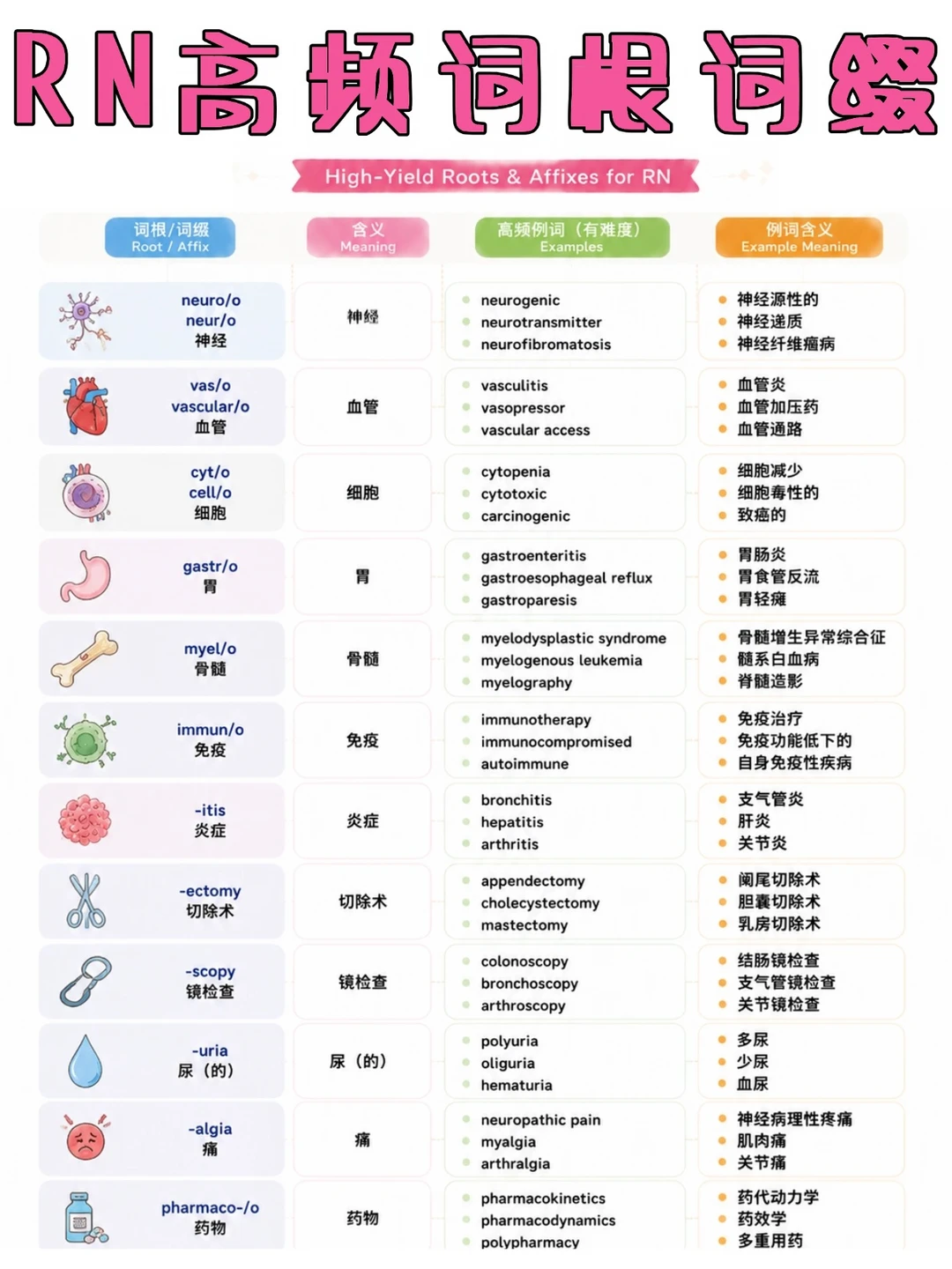 备考RN/高频词根词缀！！学！！单词