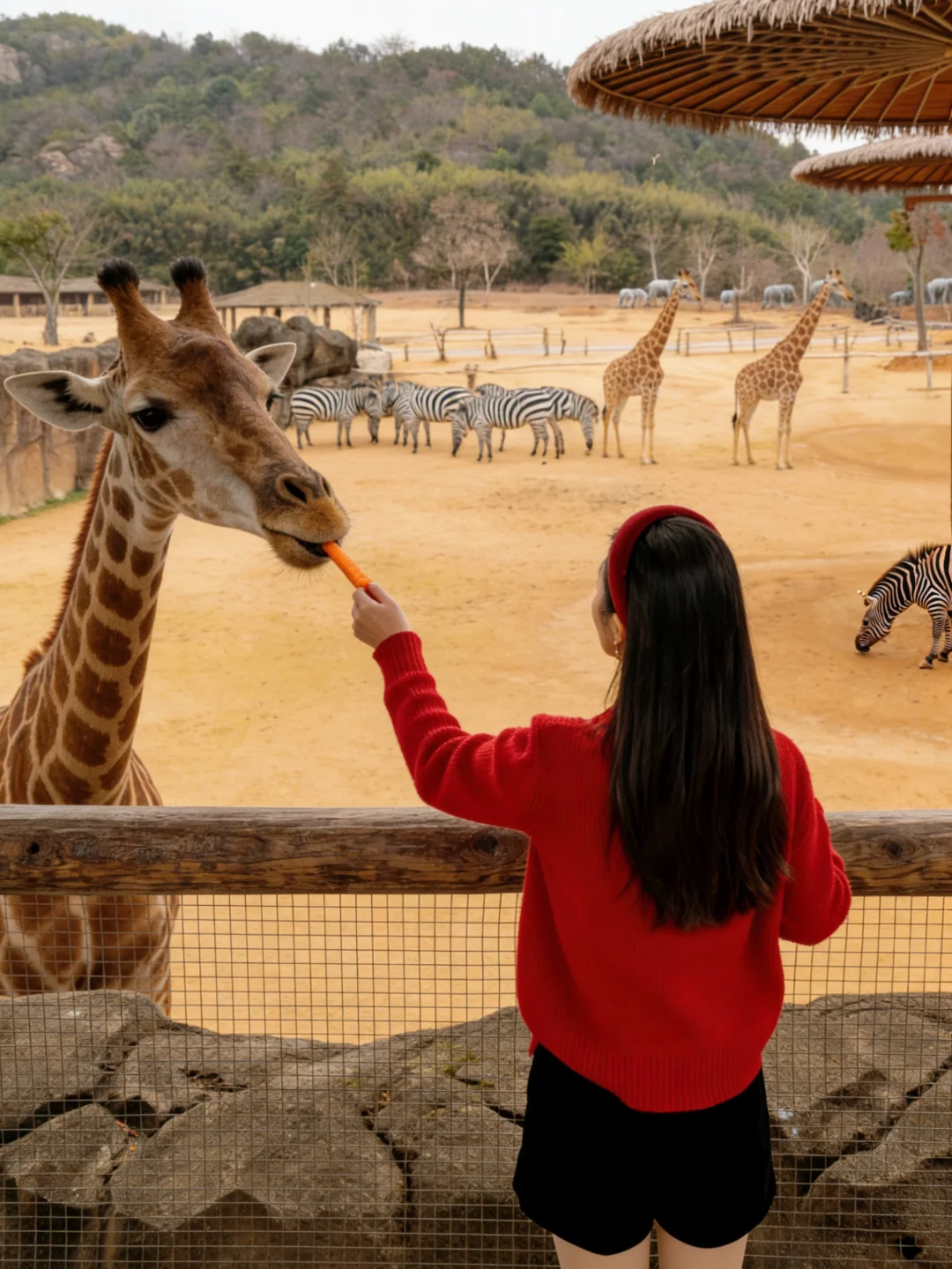 谁懂啊！杭州这个动物世界治愈我一整天🥹