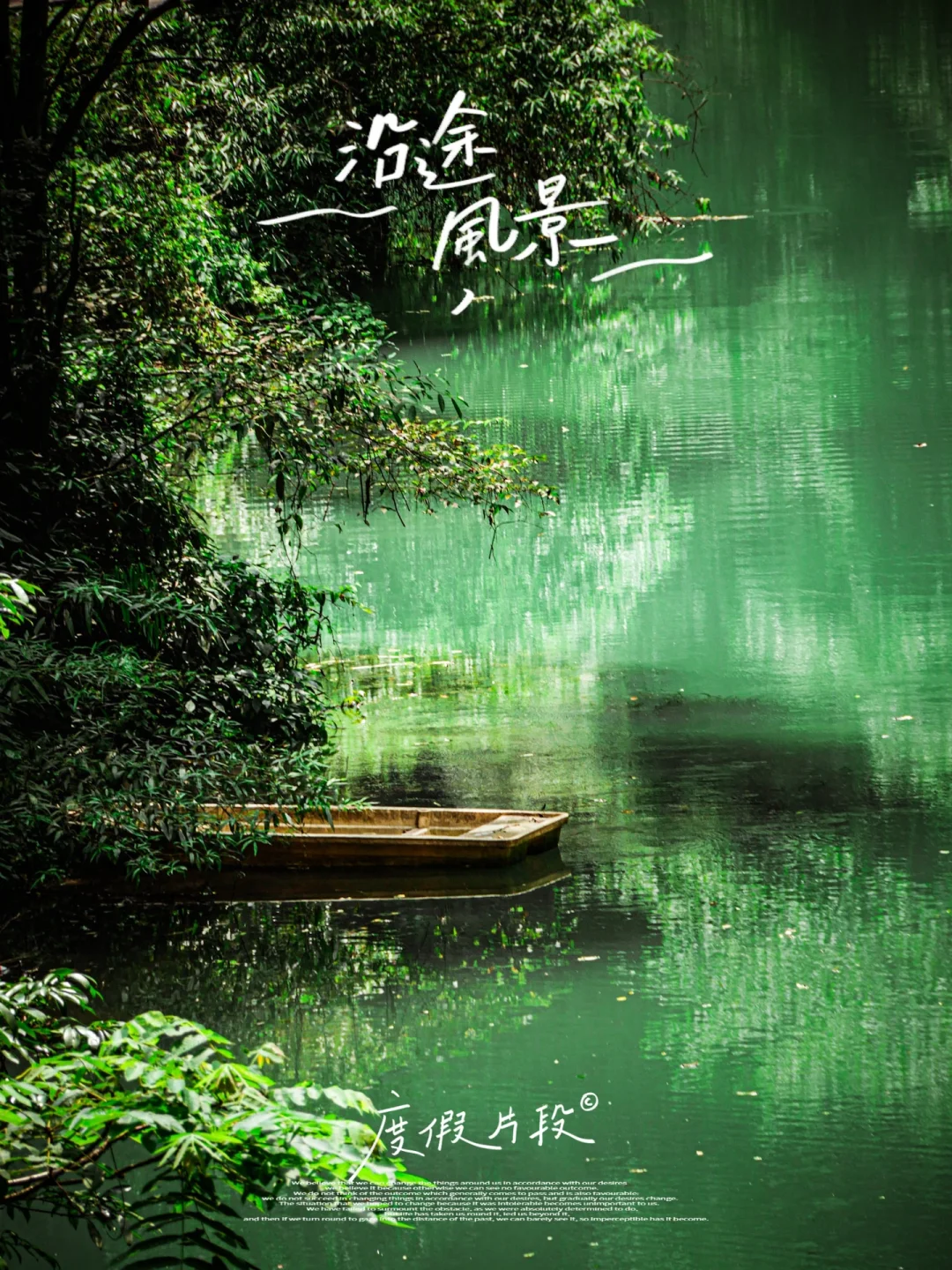 沉浸式体验自然观光张家界大峡谷🌈❤️