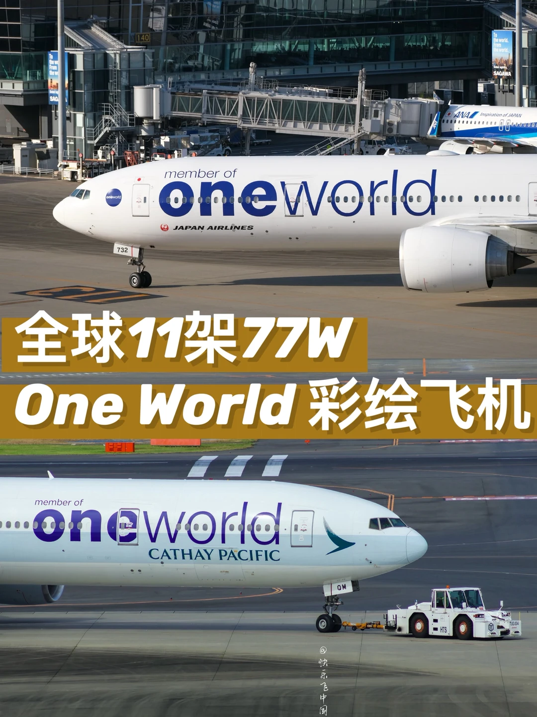 全球11架77W One World 彩绘飞机。