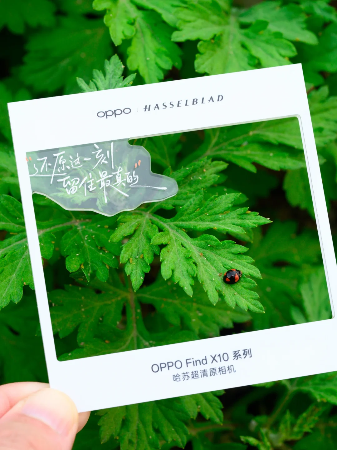 收到，一份特别的OPPO发布会邀请函！