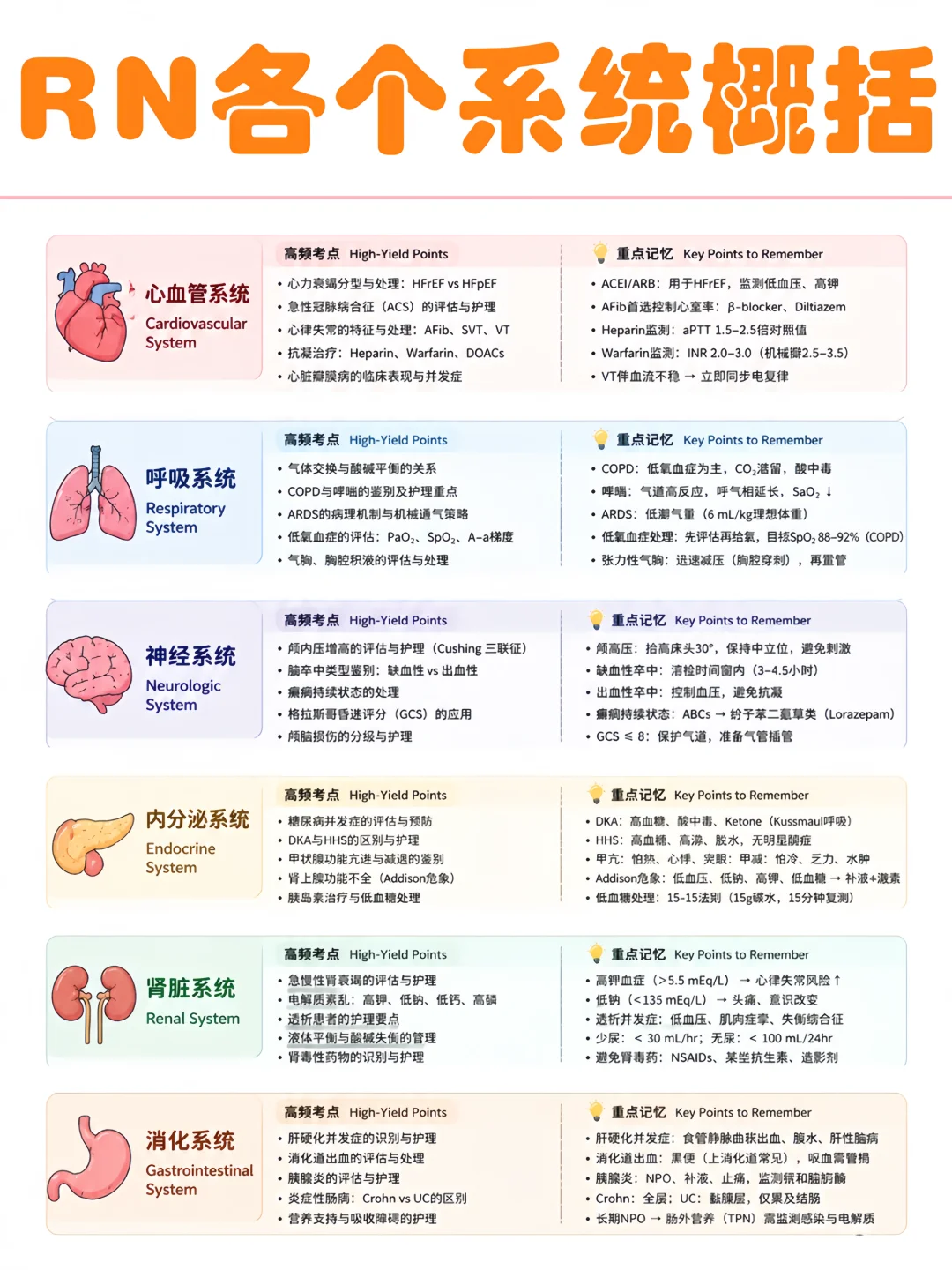 备考RN/各个系统简要概括！！学！内容
