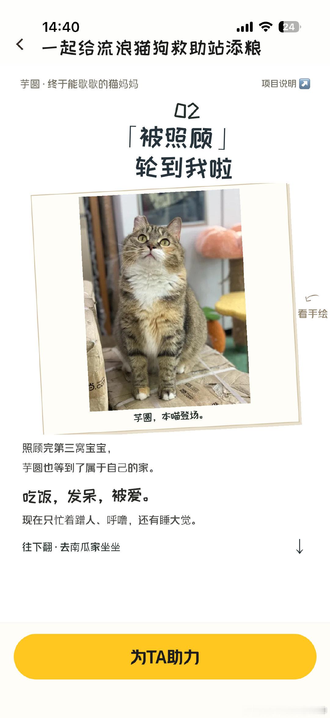 关注流浪动物～ ​
