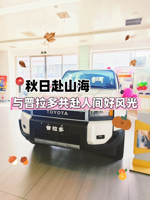 秋日赴山海，与普拉多共赴人间好风光🍂
